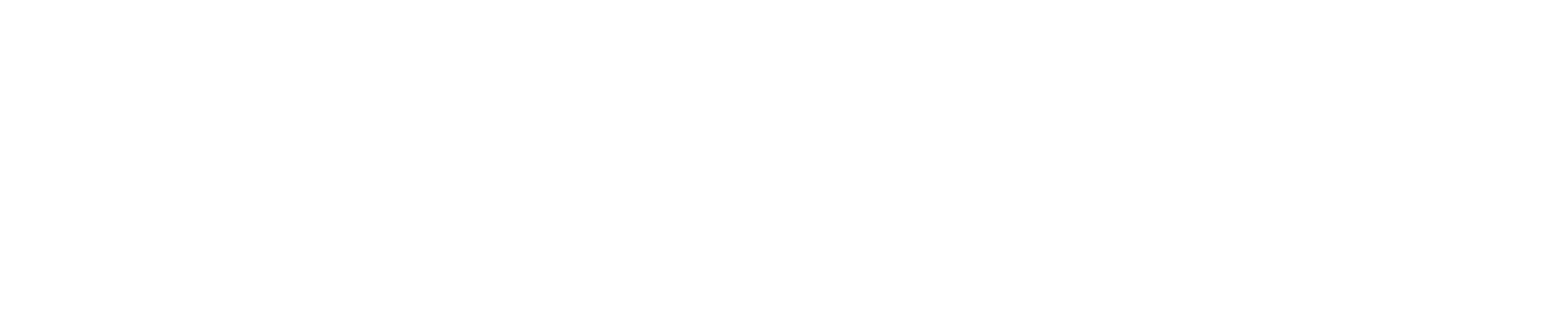 PartnerMatch